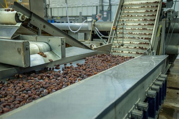 Food Processing Units